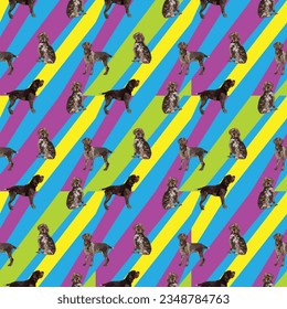 Wirehaired Pointing Griffon dogs on a holiday texture with diagonal lines. Multi-colored repeatable packaging, birthday wrapping paper. Trendy hand-drawn hound breed wallpaper. Bright geometric paint.