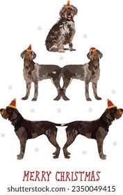 Wirehaired Pointing Griffon dogs wearing winter hats. Cute detailed illustration of dogs. Abstract Christmas tree. Merry Christmas greeting card with the cute funny sitting and standing dogs, winter.