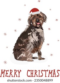 Tarjeta de invierno con ilustraciones de Griffon con hilo. Carácter de perro lindo en una pose sentada. Diseño de vacaciones para imprimir, adorable y lindo caricatura de perro de Navidad vectores tarjeta de saludo. Perro adorable