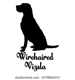 Wirehaired Vizsla dog silhouette, dog breeds, logo, vector, silhouette,  animal, illustration, icon, sign, design, black, symbol, pet, love
