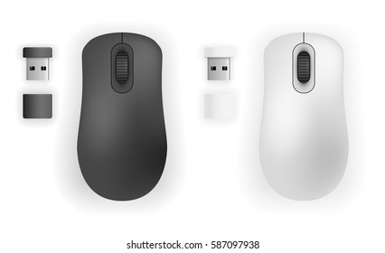 Wireless mouse and USB thumb size transceiver devices. Vector illustration top view