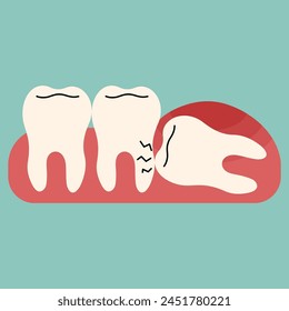 Wisdom teeth singel 3 cute on a blue-green background, vector illustration.