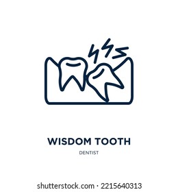 wisdom tooth icon from dentist collection. Thin linear wisdom tooth, medical, dental outline icon isolated on white background. Line vector wisdom tooth sign, symbol for web and mobile