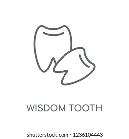 Wisdom tooth linear icon. Modern outline Wisdom tooth logo concept on white background from Dentist collection. Suitable for use on web apps, mobile apps and print media.