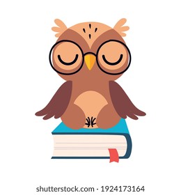 Wise Brown Owl, Cute Bird Cartoon Character Sitting and Relaxing on Book Vector Illustration