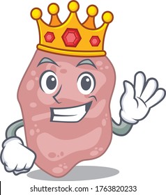 A Wise King of verrucomicrobia mascot design style