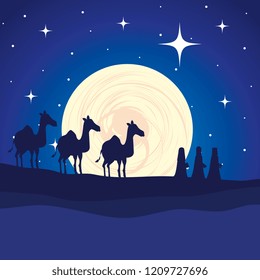 wise kings in camels manger characters