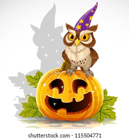 Wise magician owl sit on a pumpkin - Halloween symbol Jack