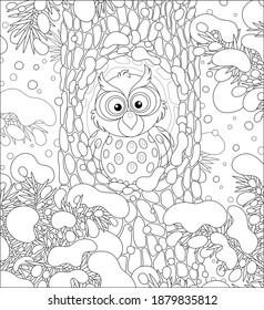 Wise northern owl with large round eyes looking out of its hollow in a snow-covered tree in a thicket of a snowy wild forest on a cold winter night, black and white vector cartoon