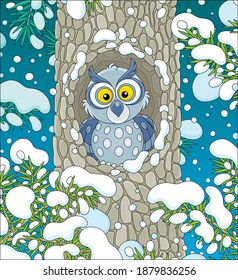 Wise northern owl with large round eyes looking out of its hollow in a snow-covered tree in a thicket of a snowy wild forest on a cold winter night, vector cartoon illustration