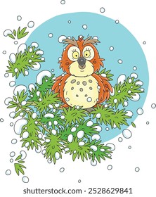 Wise northern owl with large round eyes perched on a snowy fir branch in a thicket of a winter wild forest, vector cartoon illustration on a white background