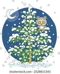 Wise northern owl with large round eyes perched on a snowy fir in a winter forest on a cold frosty night, vector cartoon illustration on a white background