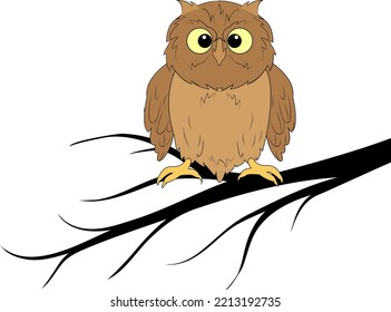 A wise owl bird sits on a tree branch. White background. Design element.