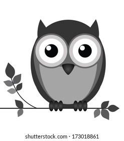 Wise owl on branch isolated on white background 