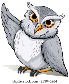 Wise owl on a white background