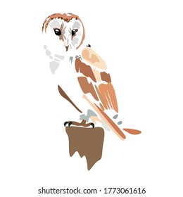 A wise, sweet, pretty owl stands on a stump on a white background.Vector illustration