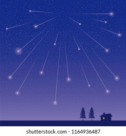Wish on a starry night
