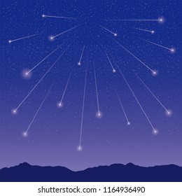 Wish on a starry night