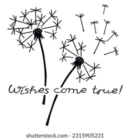 Wishes come true poster with dandelion. Umbrellas with seeds and hand written text. Graphic clip art in black on a white background.Linear print on fabric and paper.Vector isolated illustration.