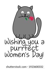 Wishing you a purrfect (perfect) Women's Day - Cute gray cat with a red rose, cartoon vector doodle illustration. Funny doodle animal.