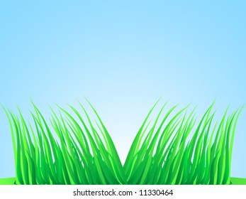 Wisps of grass. Vector illustration.