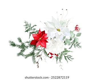 Wispy Christmas greenery, red poinsettia, red amaryllis, pine, fir tree, dried winter berry vector design garland. Wedding or new year party invitation border. Watercolor style. Isolated and editable