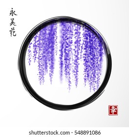 Wisteria in black enso zen circle on white background. Hieroglyphs - happiness, eternity, beauty, flower. Bunches of flowers. Traditional oriental ink painting sumi-e, u-sin, go-hua.