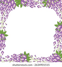 Wisteria botanical illustration in soft purple and green tones on white background.
