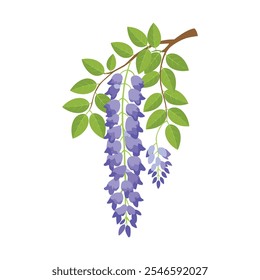 Wisteria Flower, Enchanting Wisteria
Vector Illustration - Cascading Clusters of Soft Purple
Blooms. 