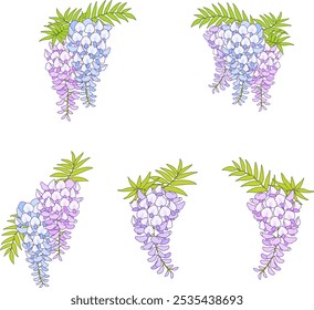 Ilustración de material de Vector de flores de Wisteria