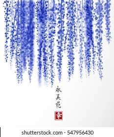 Wisteria hand drawn with ink on white background. Traditional oriental ink painting sumi-e, u-sin, go-hua. Contains hieroglyph - happiness, eternity, beauty, flower. Bunches of flowers. svg