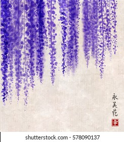 Wisteria hand drawn with ink on vintage background. Contains hieroglyphs - happiness, eternity, beauty, flower. Traditional oriental ink painting sumi-e, u-sin, go-hua. Bunches of flowers. svg