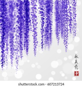 Wisteria hand drawn with ink on white glowing background. Contains hieroglyphs - happiness, eternity, beauty, flower. Traditional oriental ink painting sumi-e, u-sin, go-hua. Bunches of flowers.