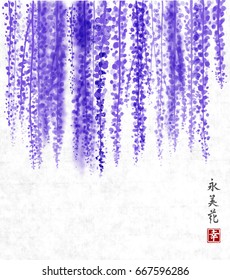 Wisteria hand drawn with ink on rice paper background. Contains hieroglyph - happiness, eternity, beauty, flower. Traditional oriental ink painting sumi-e, u-sin, go-hua. Bunches of flowers. svg