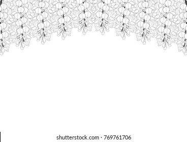 Wisteria isolated on White Background with copy space. Vector Illustration.