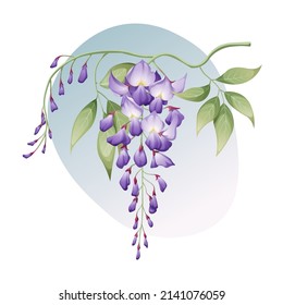 Wisteria with leaves on a white background. Floral illustration. Great for stickers, clothing design, covers, etc. svg