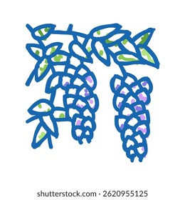 wisteria liana doodle icon sketch vector. wisteria liana sign. isolated symbol illustration