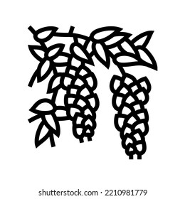 wisteria liana line icon vector. wisteria liana sign. isolated contour symbol black illustration