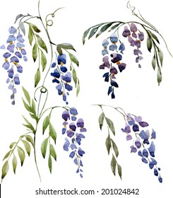 wisteria, painting, watercolor