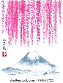 Wisteria pink blossom and far Fujiyama mountain. Traditional oriental ink painting sumi-e, u-sin, go-hua. Contains hieroglyph - eternity, beauty, happiness