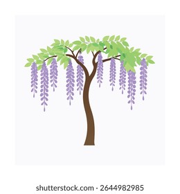 a wisteria tree with long lavender flower strings