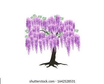 wisteria tree vector isolated on white svg