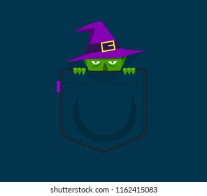 a witch behind the pocket. Isolated Vector Illustration