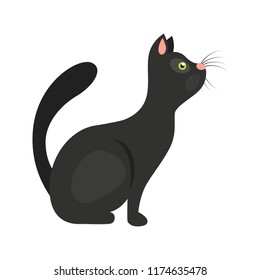 猫のしっぽ のイラスト素材 画像 ベクター画像 Shutterstock