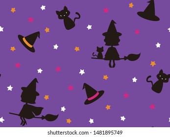 Witch and black cat flying in the night sky