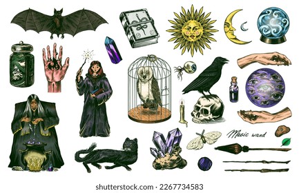 La bruja prepara una poción en un caldero. Balón mágica, libro de hechizos, gato negro, beldam y hechicería, Crow en el cráneo. Sol y luna creciente con cara. Elementos de Halloween. Esbozo vintage dibujado a mano