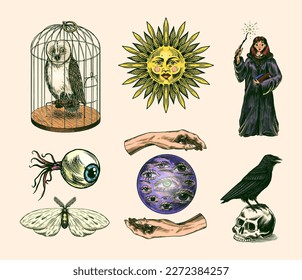 Witch brews a potion in a cauldron. Magic ball, book of spells, black cat, beldam and sorcery, Crow on skull. Sun and a Crescent moon with face. Hand drawn engraved vintage sketch