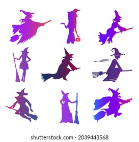 Witch with broom colorful vector icon set