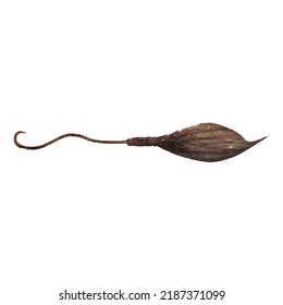 Witch broom on white background. Witchcraft vector picture. Halloween decor hand drawn. Halloween clipart. Witch style. Watercolor halloween. Picture for logo, greeting card and design.