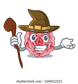 Witch carnations flower isolated with the cartoon